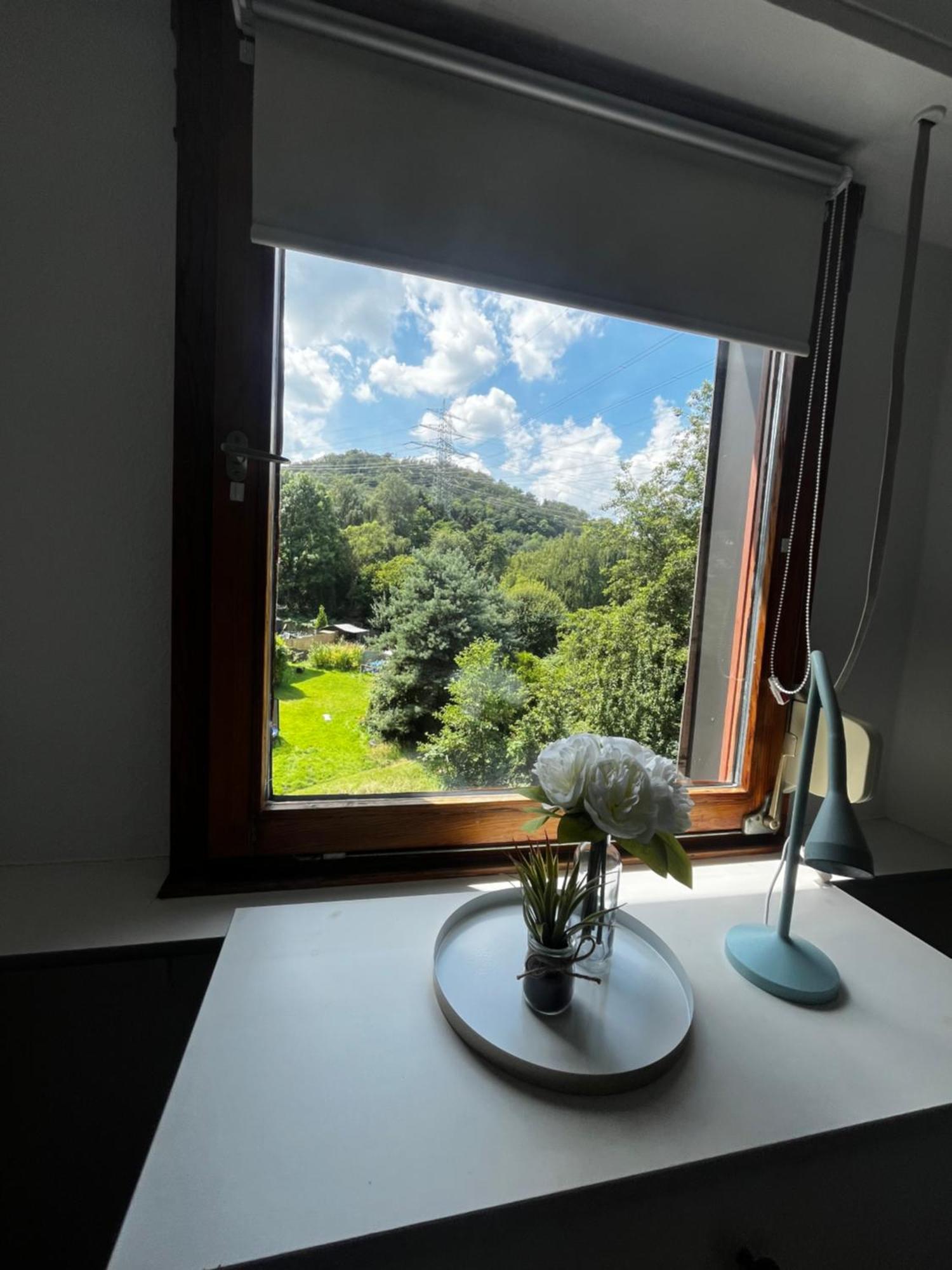 Idyllisch Wohnen An Der Ruhr Apartment ฮัททิงเงน ภายนอก รูปภาพ